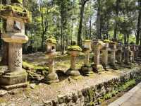 Nara Park 