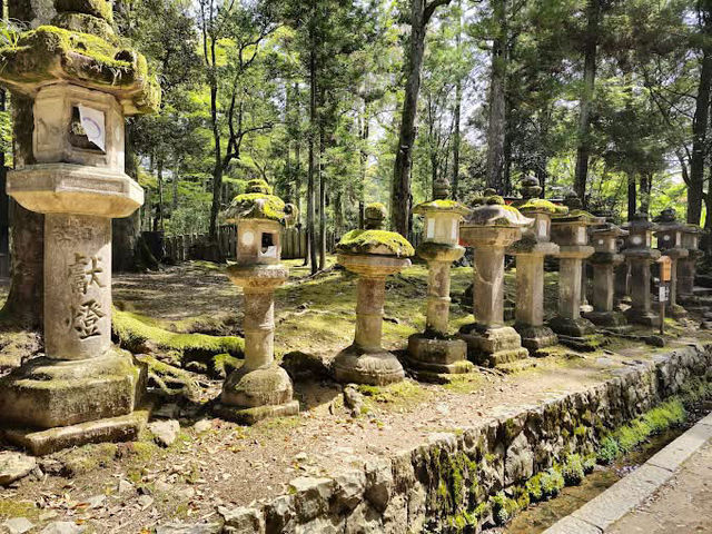 Nara Park 