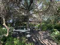 🌿 ร้านกาแฟใต้ถุนบ้าน กลางเมืองระยอง 🌿 