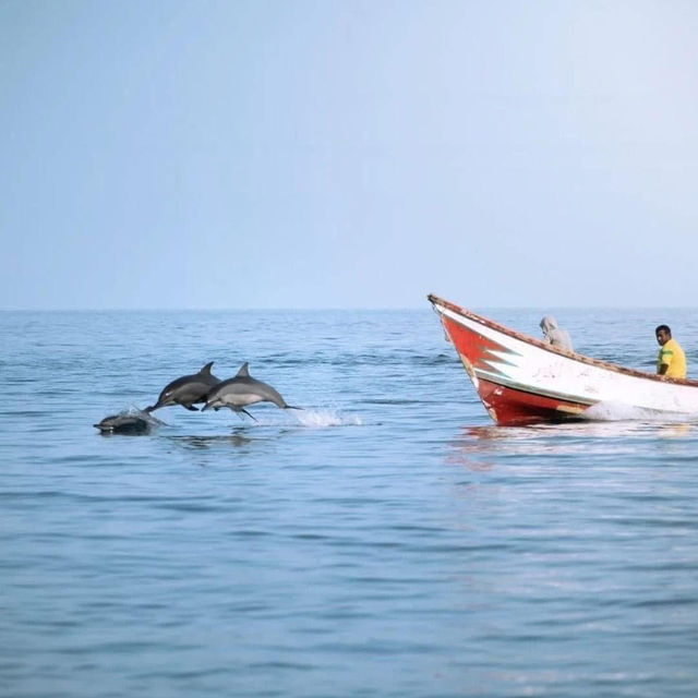 Socotra Island