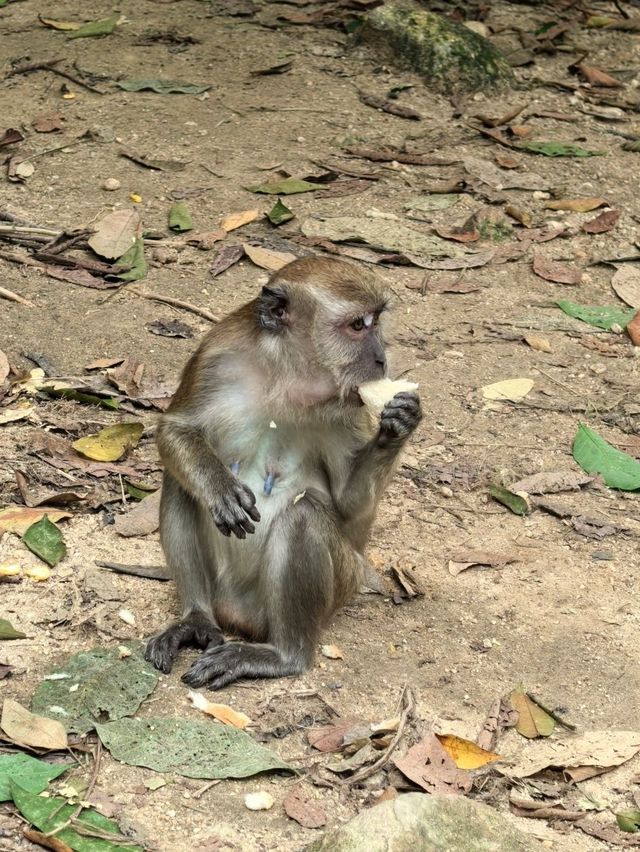 Hiking in Kuala Lumpur city
