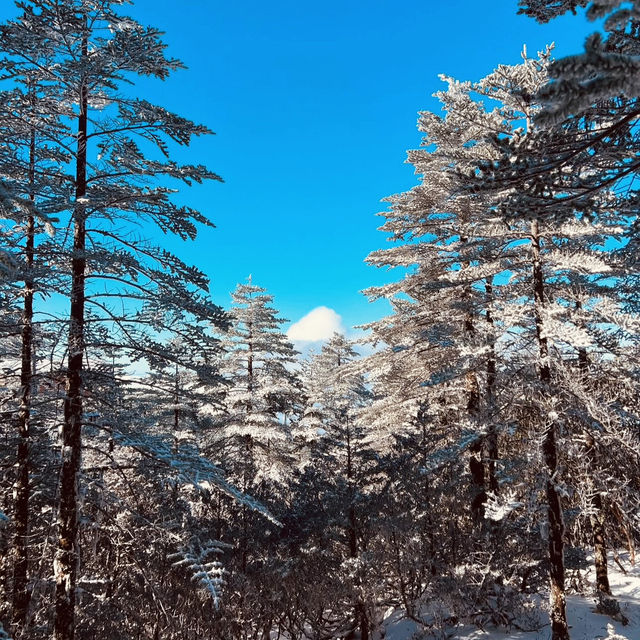 KUNMING | JIAOZI MOUNTAIN