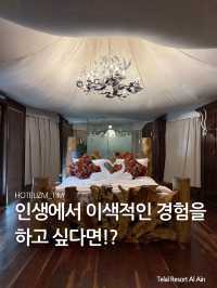 인생에서 잊지 못할 경험을 하고 싶다면!?