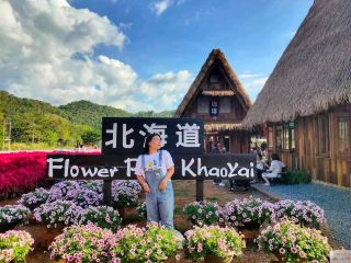 Hokkaido Flower Park Khaoyai
