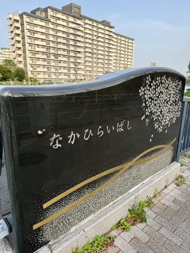 Spring Stroll at Sumida Kuritsu Kyunakagawamizube Park