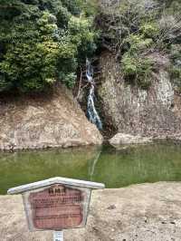 Spring Stroll Through the Timeless Beauty of Ritsurin Garden
