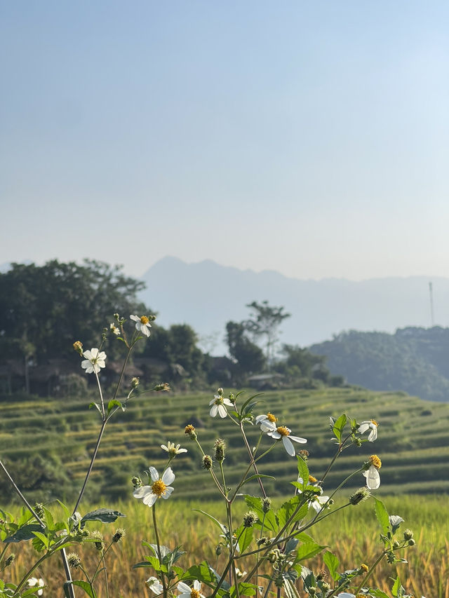 A true hidden gem of Vietnam