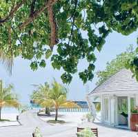 🌴Sun Siyam Olhuveli: A Luxurious Island Retreat