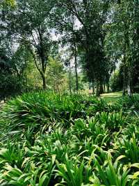 Exploring the Green Oasis of Perdana Botanical Garden