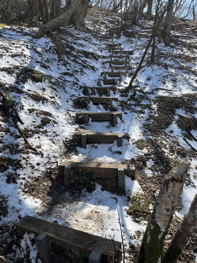 【錫杖ヶ岳】⛰️ 東海の百山