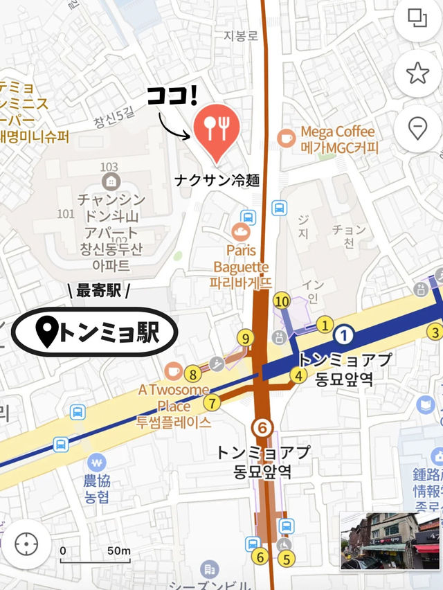【ソウル / トンミョ】ペク先生も訪れた！美味しすぎる冷麺
