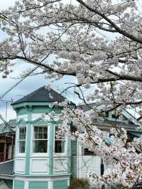 Philosopher’s Path Cherry Blossoms – Kyoto’s Most Poetic Walk