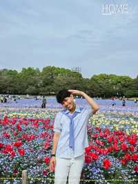 เที่ยวทุ่งดอกไม้ นะบะนะ โนะ ซาโตะ🌷🪻