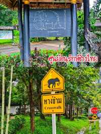 พิกัดเที่ยลำปางห้ามพลาด