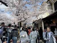京都嵐山賞櫻好去處