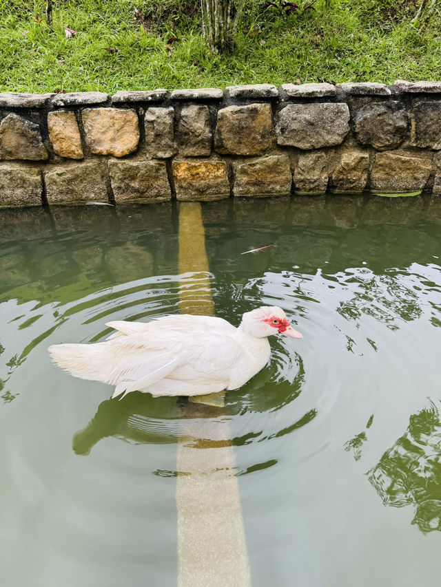Garden Paths That Lead to Peace