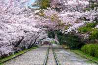 🚂🌸 Keage Incline: Kyoto’s Most Instagram-Worthy Abandoned Railway! 🌸🚂