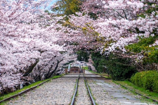 🚂🌸 Keage Incline: Kyoto’s Most Instagram-Worthy Abandoned Railway! 🌸🚂