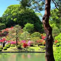 大井中央公園·日式夢幻