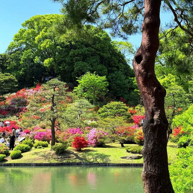 大井中央公園·日式夢幻