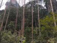 Step into a real life fairy tale at Zhangjiajie National Forest Park