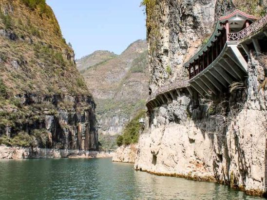 🌊 Yangtze River Cruise: Pandas, Pagodas & the World’s Most Dramatic Toilet View! 🚢