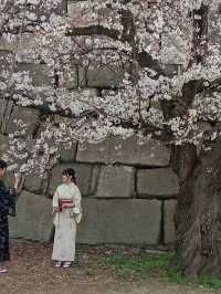 大阪城公園历史與自然的完美融合