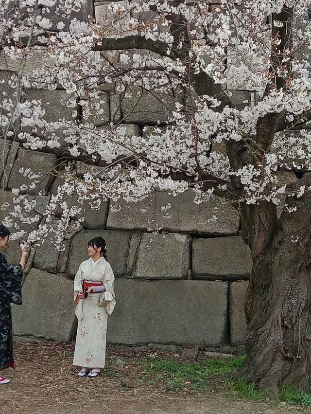 大阪城公園历史與自然的完美融合