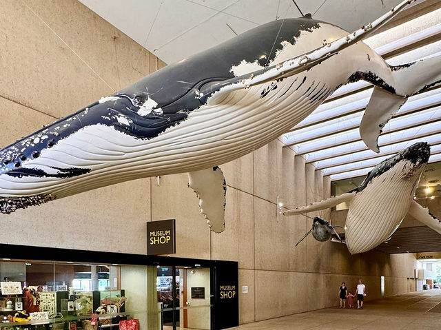 🌆✨ Brisbane City Centre Spring Getaway: Urban Oasis in 48 Hours