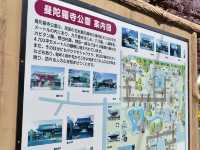 【限定イベント】曼陀羅寺公園の藤まつり