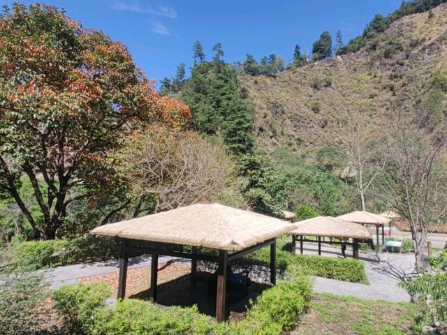 #八仙山國家森林遊樂區- 臺中市和平區