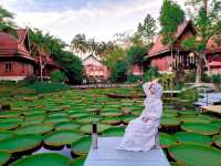 มาดูบัว คาเฟ่ - ภูเก็ต