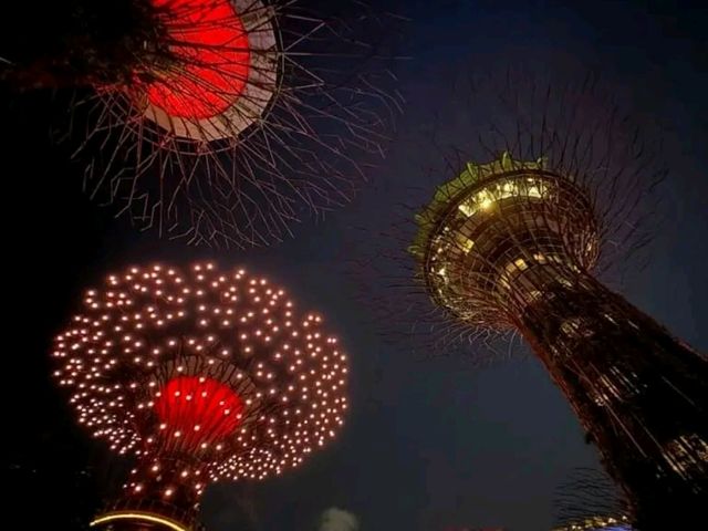 A Walk Through the Future: Exploring Gardens by the Bay, Singapore