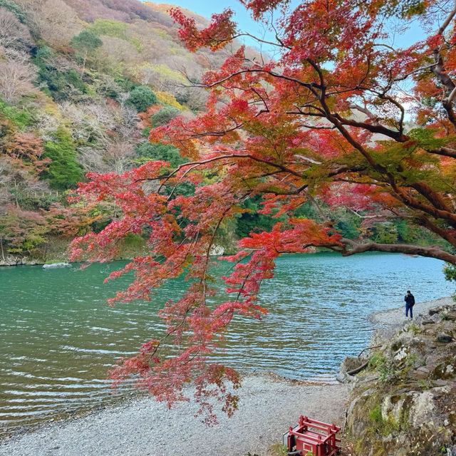 嵐山超級適合賞楓