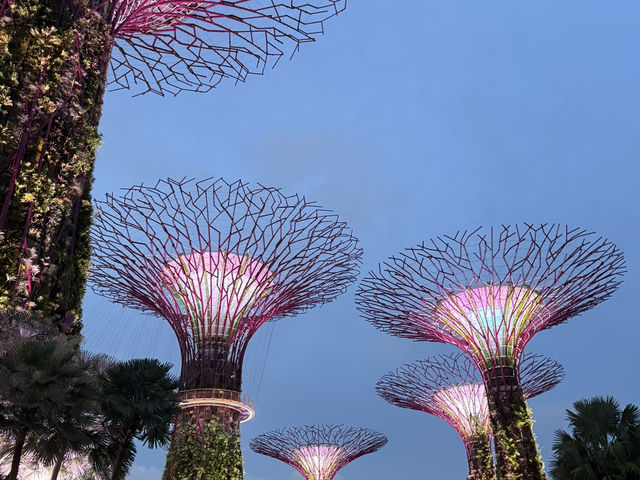 Gardens by the Bay: A Futuristic Oasis in the Heart of Singapore