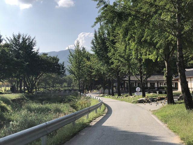 제천에서 만나는 힐링 여정🍂 묵은지 닭도리탕부터 성지 산책, 숲속 리조트까지