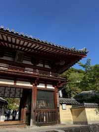 「なんで誰も教えてくれなかったの…？」岡寺に立った瞬間、思わずそんな言葉がこぼれた🇯🇵✈️🌏 