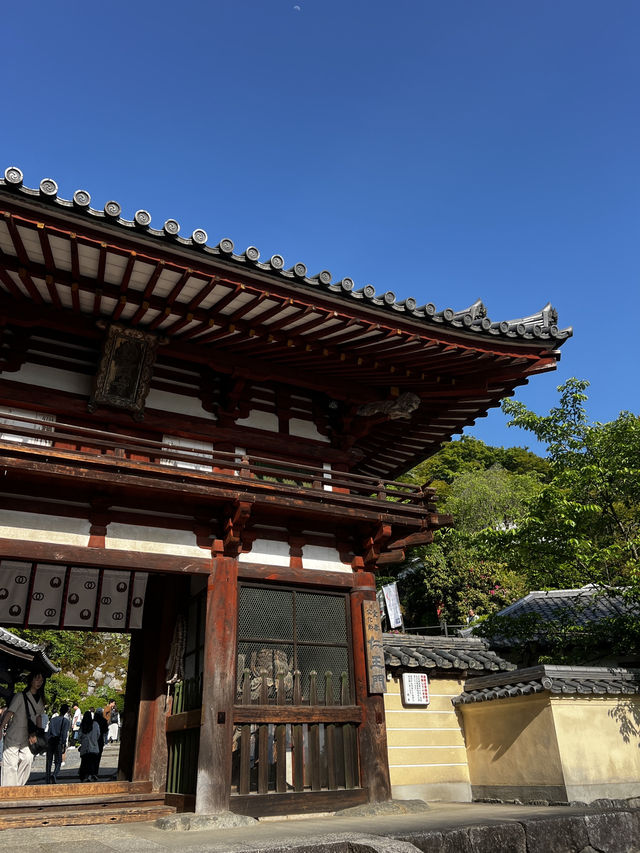「なんで誰も教えてくれなかったの…？」岡寺に立った瞬間、思わずそんな言葉がこぼれた🇯🇵✈️🌏 