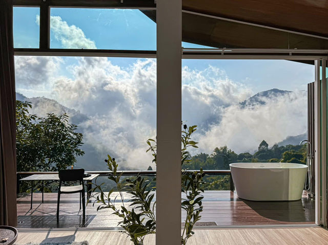 Where mountains meet mist and coffee