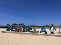 【イサベラ島】ペンギンとアシカと泳げる、赤道直下の野生の楽園。
