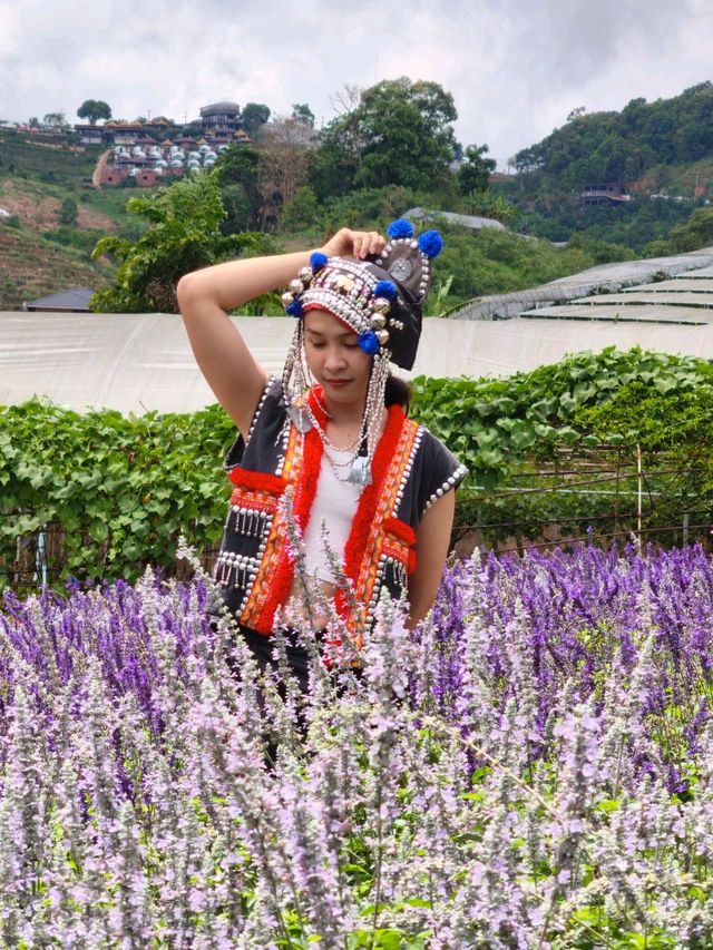 สวนอีเดน รีสอร์ท @ม่อนแจ่ม เชียงใหม่