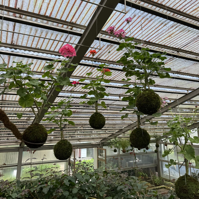 Botanical Beauty at Rumah Atsiri