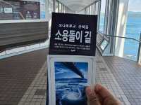 나루토 소용돌이 (오쓰카 미술관 휴관..)