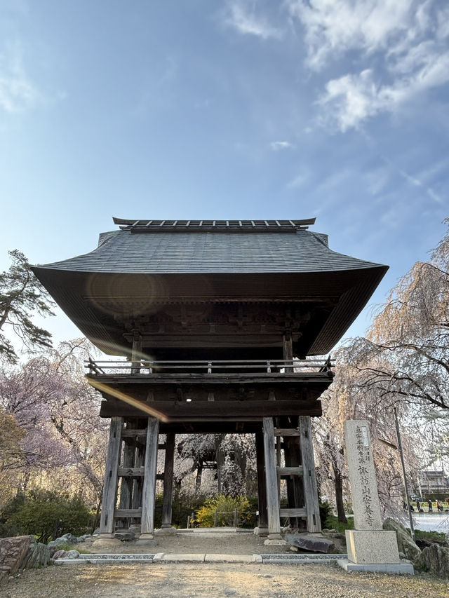 Reflection of Sakura : Anyouji Temple, Matsumoto