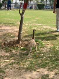Exploring the Vibes of FAST University Islamabad
