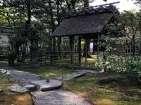 A Perfect Peaceful Escape