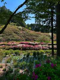 Flower Heaven