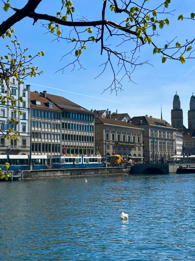 Switzerland | Zurich Citywalk Guide 🇨🇭