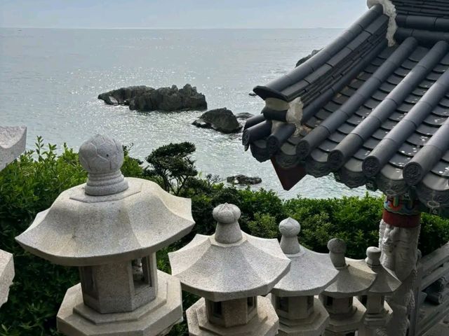 Title: Busan – Where Ocean Breeze Meets City Life