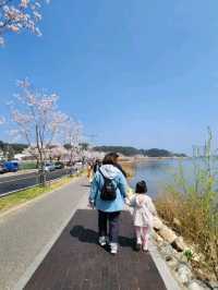 Gangneung: Where the Mountains Meet the Sea